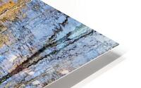 FS201107R HD Metal print