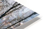 FS201107DW HD Metal print