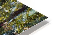 FS200928H HD Metal print