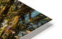 FS200928E HD Metal print