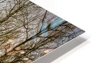 FS170228S3 HD Metal print