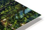 FS180417 0 HD Metal print