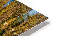 FS121007DW3 HD Metal print