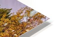 FS121007PAN3 HD Metal print
