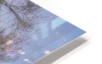 FS201111 0 HD Metal print