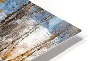 FS201107M HD Metal print