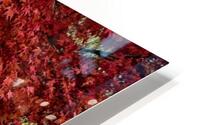 FS091104 Maple HD Metal print