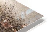 FS210227DW HD Metal print