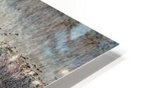 FS210227M HD Metal print