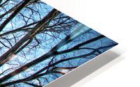 FS110208 0 HD Metal print
