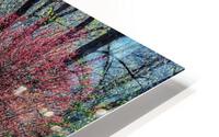 FS210415 01 HD Metal print