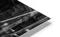FS191027BW HD Metal print