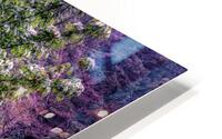 FS180630G3 HD Metal print