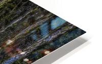 Trees Along The Trail HD Metal print
