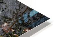 FROZEN IN TIME HD Metal print