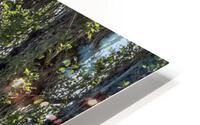 BURNABY LAKE LOOP HD Metal print
