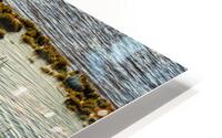 Marsh at Terra Nova HD Metal print