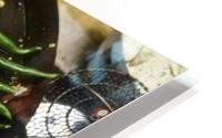 DEEP FRIED HD Metal print