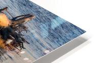DRIFTWOOD HD Metal print