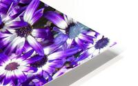 FLORA HD Metal print