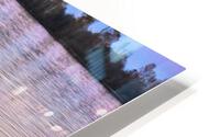 TWILIGHT GLOW HD Metal print