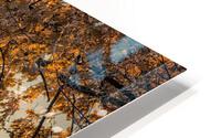 WINTER TREES HD Metal print