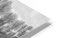 FS230104BW HD Metal print