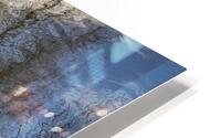 FS230128 004 HD Metal print