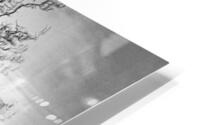 FS230215BW HD Metal print