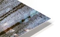TREE REFLECTION ON WATER 2023 HD Metal print