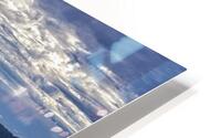 FS180508 2 ISOLATED HD Metal print