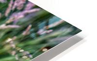 FS180604 HD Metal print