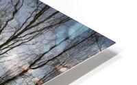 FS230307DW3 HD Metal print