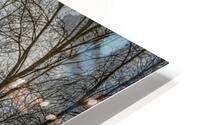 STILL CREEK HD Metal print