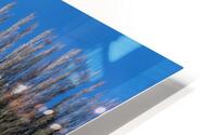FS230401 FL HD Metal print