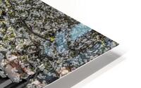 FS230419 THE BACKYARD HD Metal print