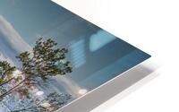 FS210426 SS Master HD Metal print