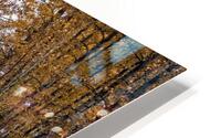 AUTUMN SCENE 秋季場景 HD Metal print