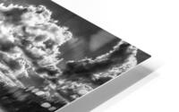 FS170912BW HD Metal print