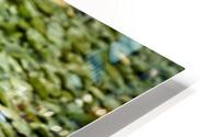 FS200716 00 HD Metal print