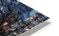 FS140204F HD Metal print