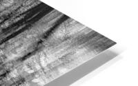 FS230104BW2 HD Metal print
