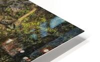 FS180417F2 HD Metal print