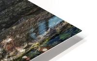 FS180417T2 HD Metal print