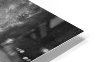 FS180626 07BW HD Metal print