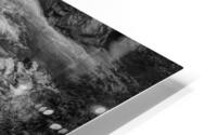 FS180630 11BW HD Metal print