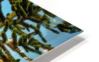 FS230821 S2 HD Metal print
