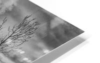 FS231231FA HD Metal print