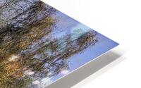 FS231123 0 HD Metal print
