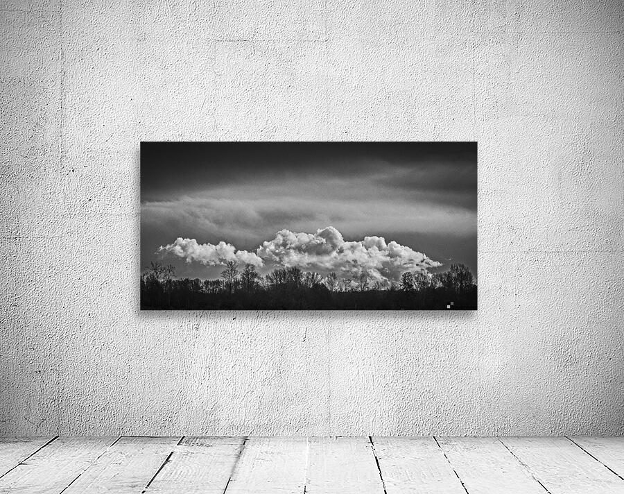 FS240302 CLOUDSCAPE 2024 Wall Preview